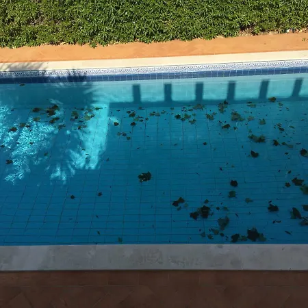 度假居 Luxury With A Pool